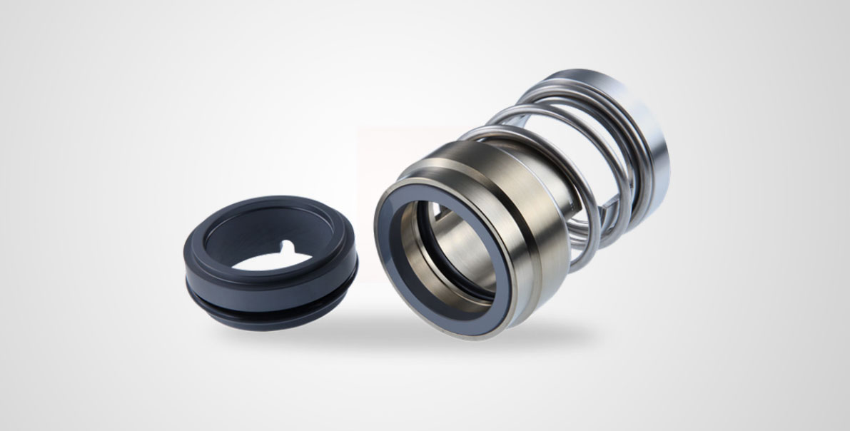 Mechanical Seal PTBS