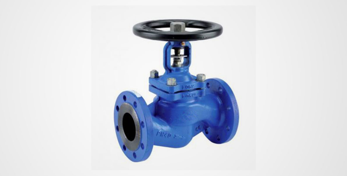 Steam Globe Valve